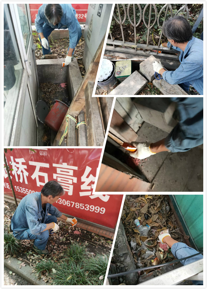 3499拉斯维加斯市场发展冬季灭鼠