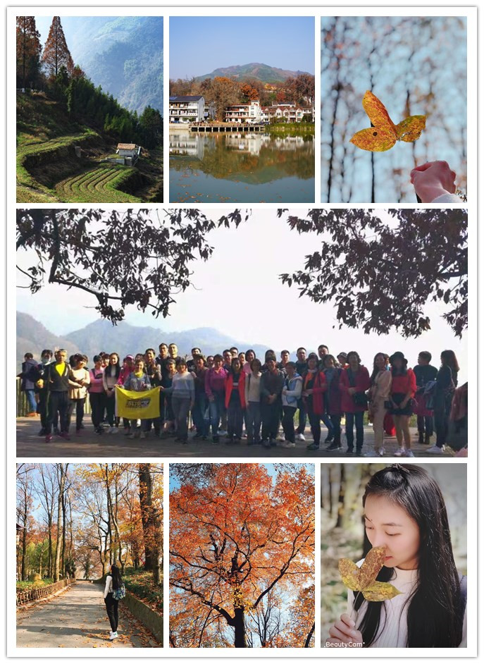 3499拉斯维加斯电子买卖市场组织“指南村赏秋”活动