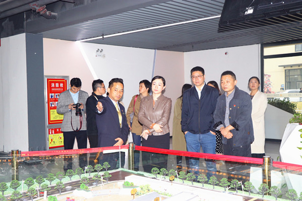 庐阳区委常委、宣传部长韩艳一行光临庐阳3499拉斯维加斯文创园调研