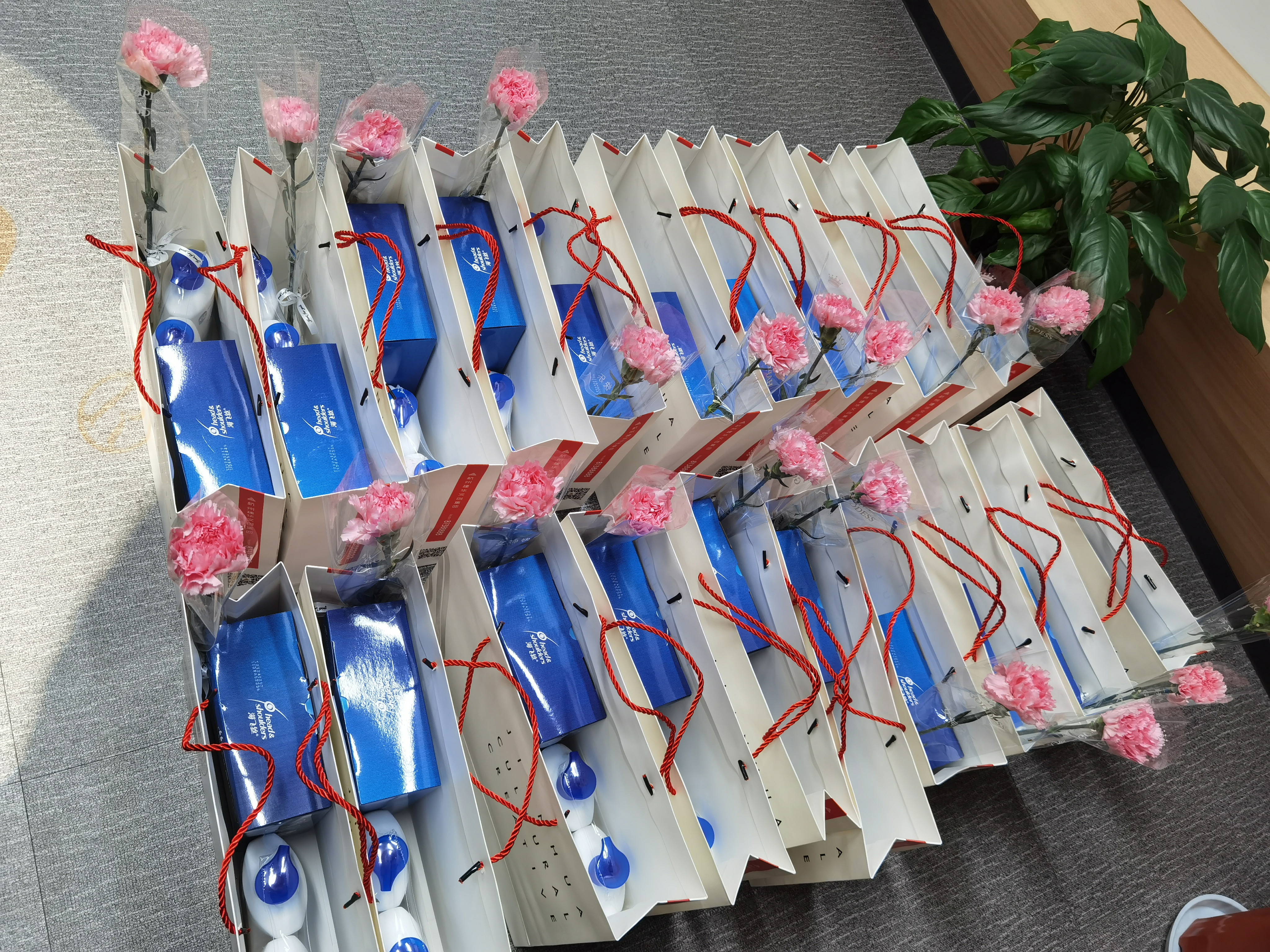 情暖三八 3499拉斯维加斯文创集团工会积极发展送温暖活动 