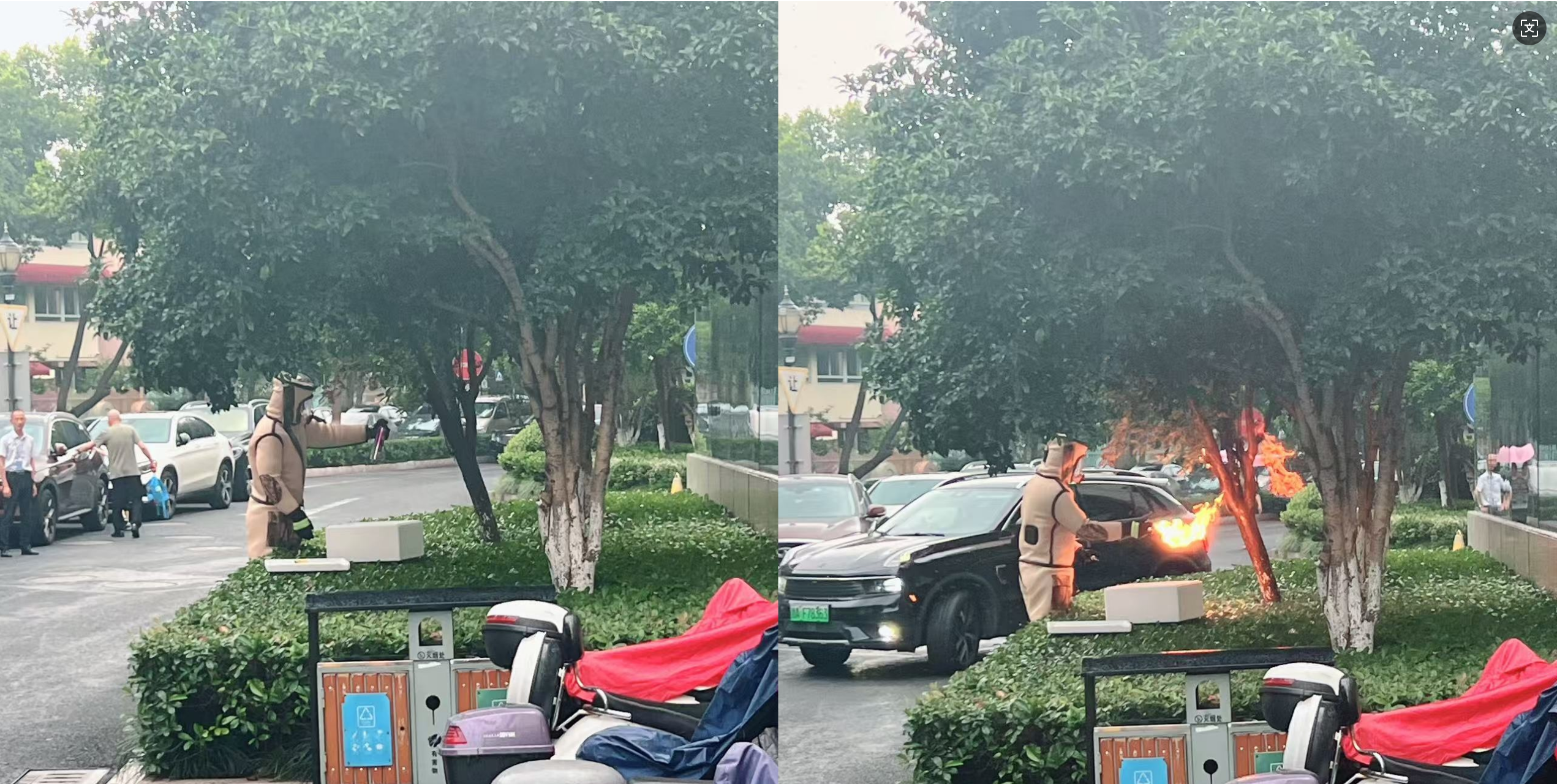 安全守护零距离，水晶城急剧措置表围蜂群隐患