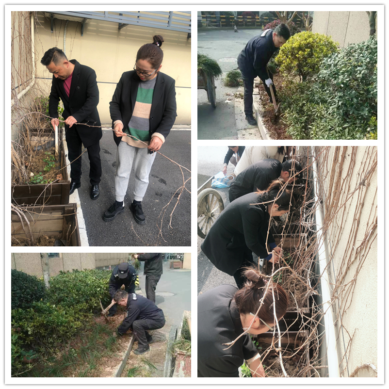 春季绿化正其时——3499拉斯维加斯文创集团扎实发展环境提升