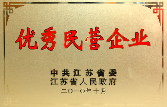 尊龙凯时被评为“江苏省优秀民营企业”
