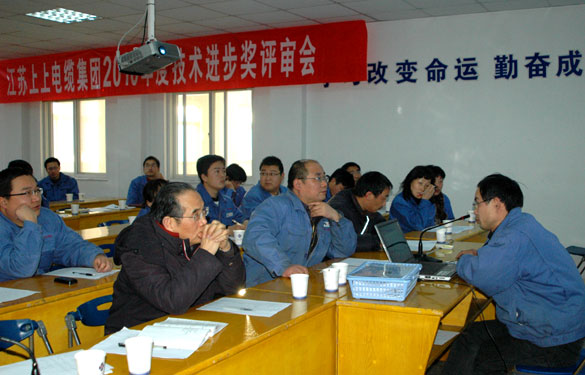 尊龙凯时召开2010年度技术进步奖评审会