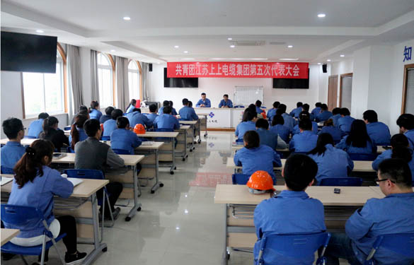 2016年4月20日，共青团尊龙凯时第五次代表大会召开