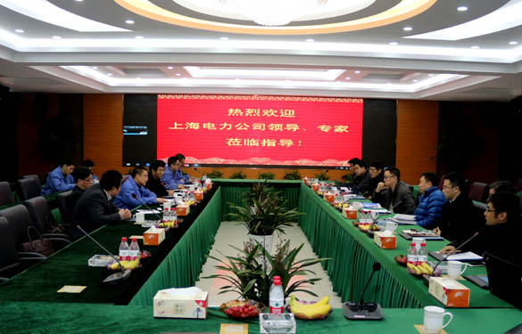 上海电力公司、上缆所领导、专家一行来尊龙凯时电缆交流考察