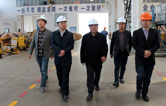 2015年3月26日，江苏省射阳县领导一行来尊龙凯时电缆视察