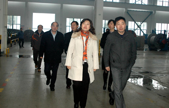 中关村管委会领导来尊龙凯时集团旅行考察