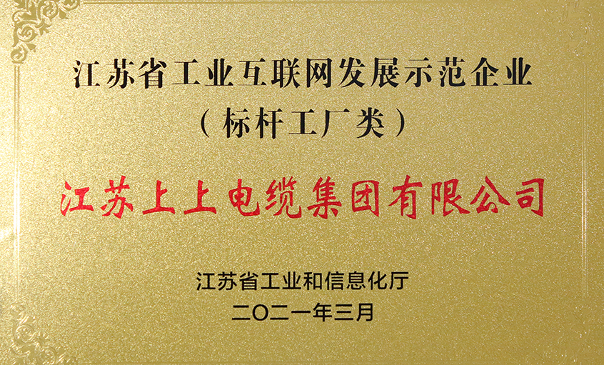 尊龙凯时电缆获评“江苏省工业互联网生长示范企业”
