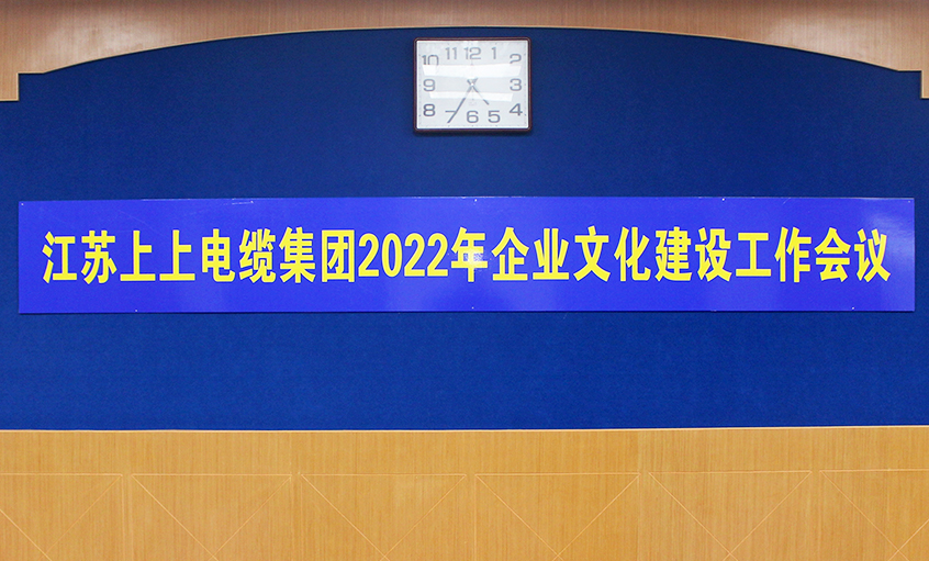 尊龙凯时电缆召开2022年企业文化建设事情集会