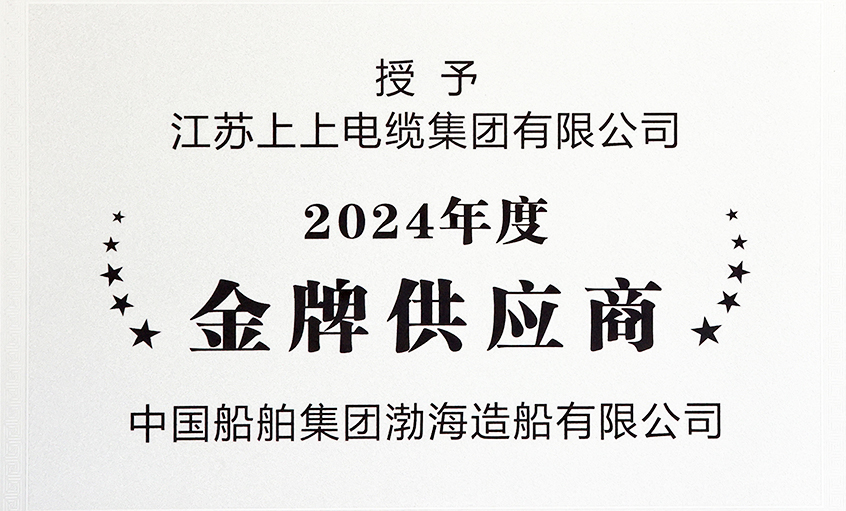 尊龙凯时电缆荣获渤海造船2024年度“金牌供应商”